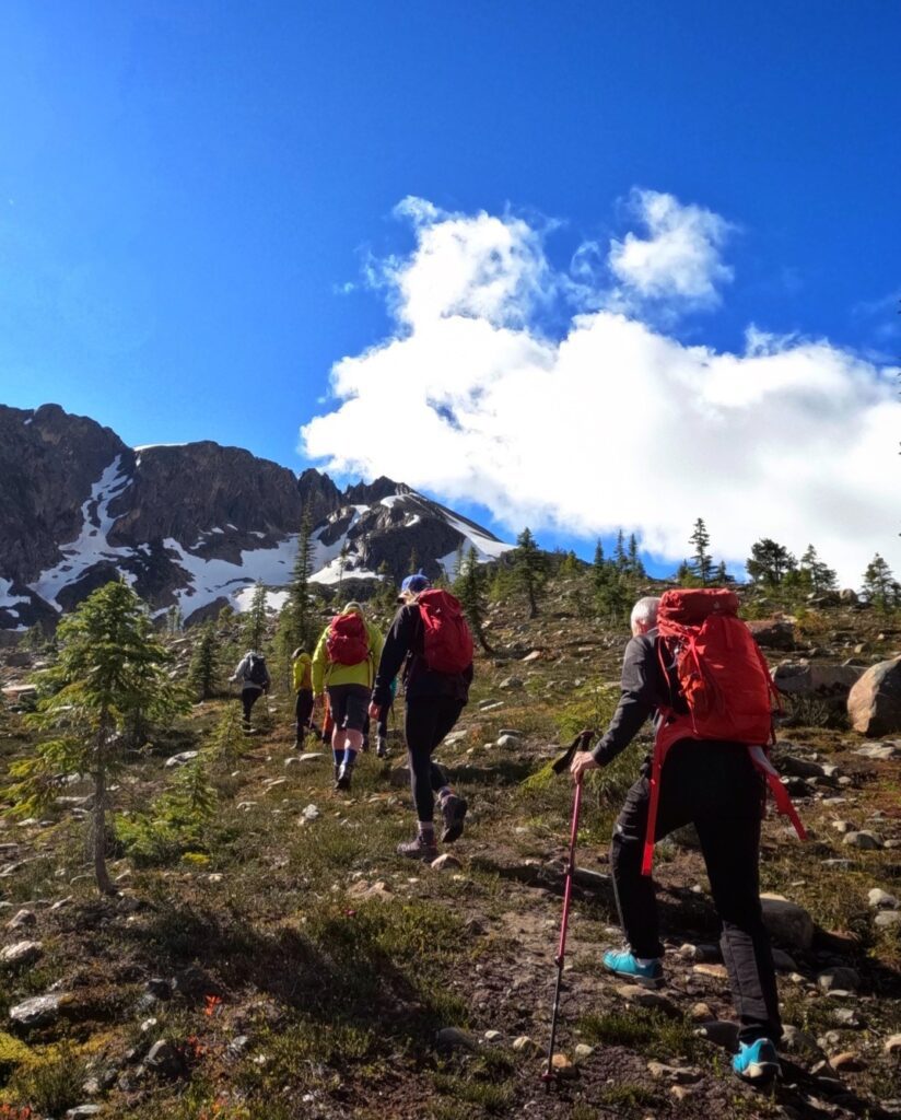 CMH Heli Skiing and Summer Adventures - Bison Lodge Revelstoke