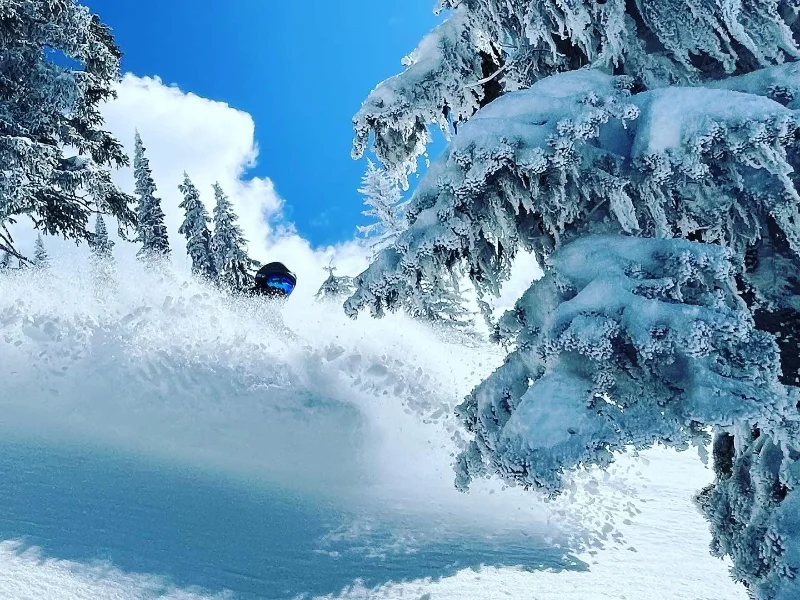 Skier-in-powder-snow